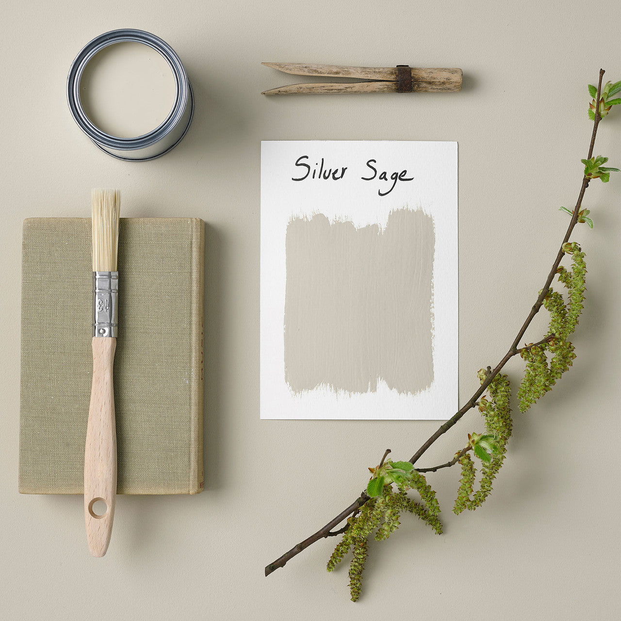 Silver Sage