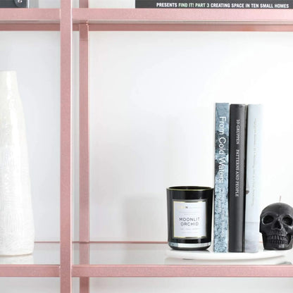 Pink shelf with a candle, books, and a skull decoration against a white background